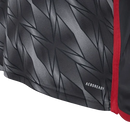 Camisa 2024/25 III
