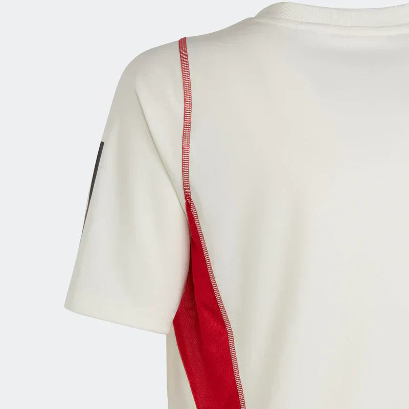 Camisa 2023/24 Treino
