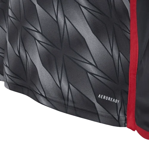 Camisa 2024/25 III